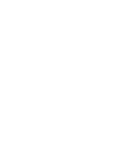 Arrow Intelligent Systems logo
